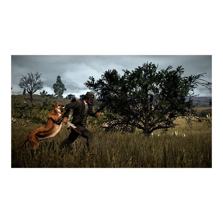 Red Dead Redemption 2 - PlayStation 4 