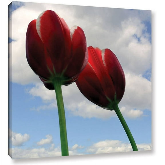 ArtWall Kevin Calkins "Two Red Tulips" Gallery-Wrapped Canvas