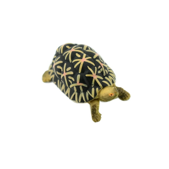 Tortoise, Indian Star Tortoise, Testudinidae, Hand Painted, Realistic Toy Figure, Model, Replica, Kids, Educational, Gift, 2" CH462 BB114