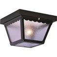 thumbnail image 1 of Volume Lighting V7232-5 2-Light Outdoor Ceiling Mount, Black, 1 of 3