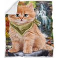 thumbnail image 1 of Scenic Waterfall Siberian Cat Blanket BLNKT110667, 1 of 2