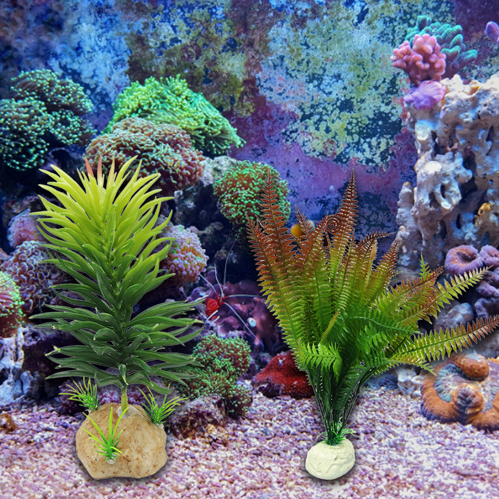 BetterZ Artificial Aquatic Plant Realistic Shape Aquarium Landscaping