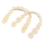 Resin Teeth Denture Upper Lower Shade Artificial Preformed Dentition Oral Care