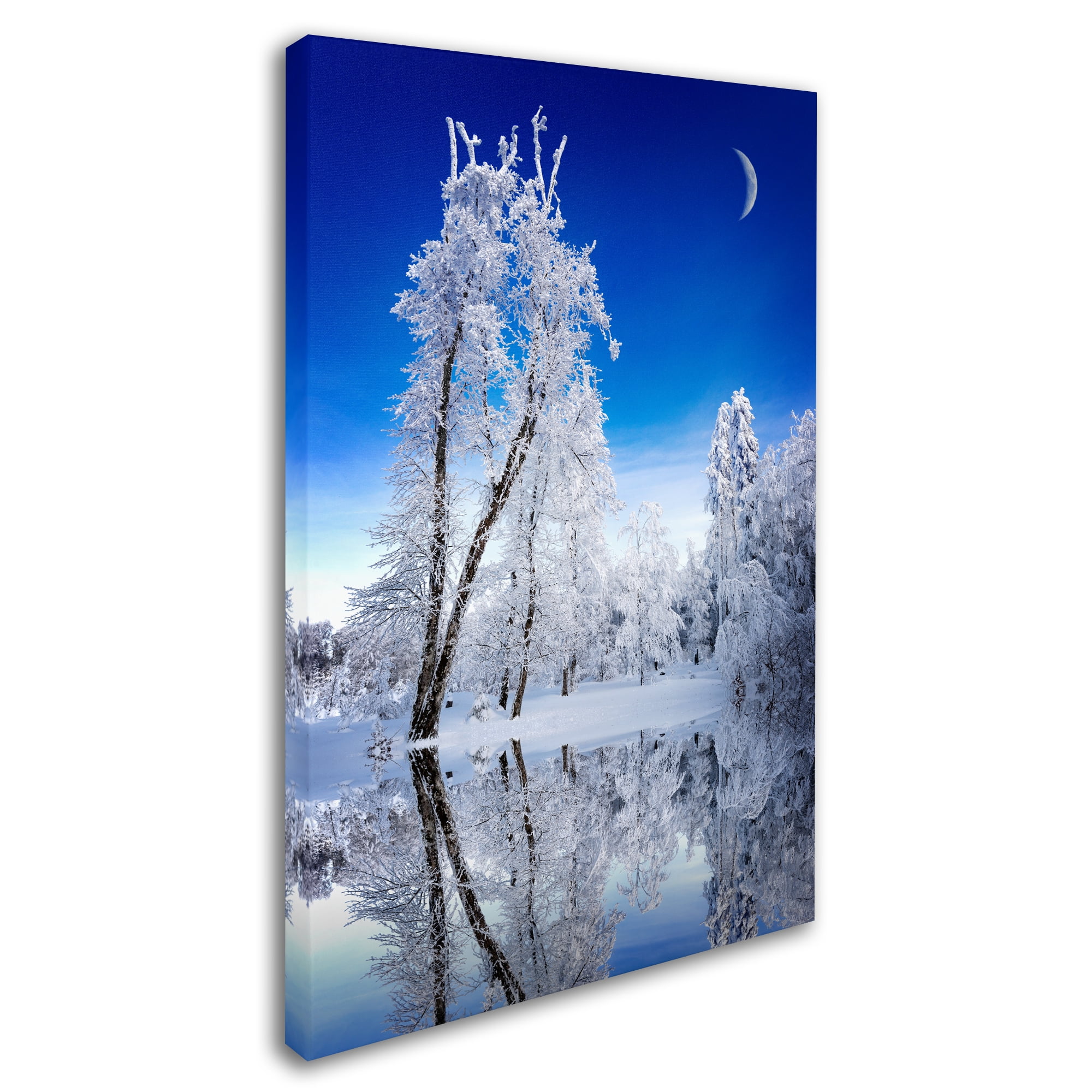 Trademark Fine Art "Emotive Ballad Canvas Art" Canvas Art by Philippe Sainte-Laudy