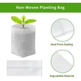 thumbnail image 4 of NOGIS 100PCS Plant Nursery Bags, Biodegradable Non-Woven Plant Grow Bags, Seedling Plant Bags, Fabric Pots for Tree,Vegetable, Potato, Flower seedlings (7.8 "x 8.6", White), 4 of 7
