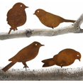 thumbnail image 1 of Adorno decorativo para jardín con efecto óxido, 4 pájaros de metal con tornillos, silueta de pájaro para decoración de jardín, adorno de metal para jardín con pátina de efecto óxido, adorno, 1 of 5