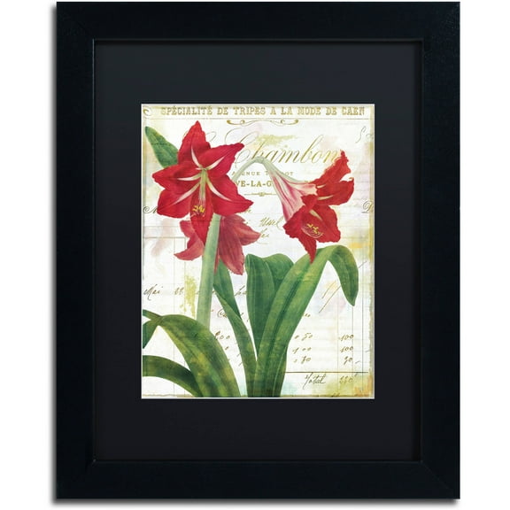 Trademark Fine Art "Peppermint Amaryllis" Canvas Art by Color Bakery Black Matte, Black Frame