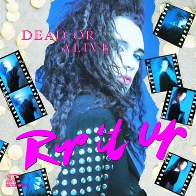 Dead or Alive - Rip It Up - Music & Performance - CD