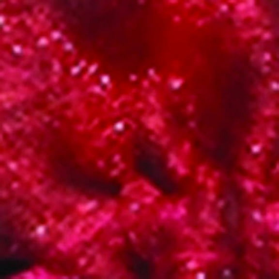 The Ribbon People Club Pack of 36 Burgundy Organza Tie Gift Bags 3.5" x 5.5"