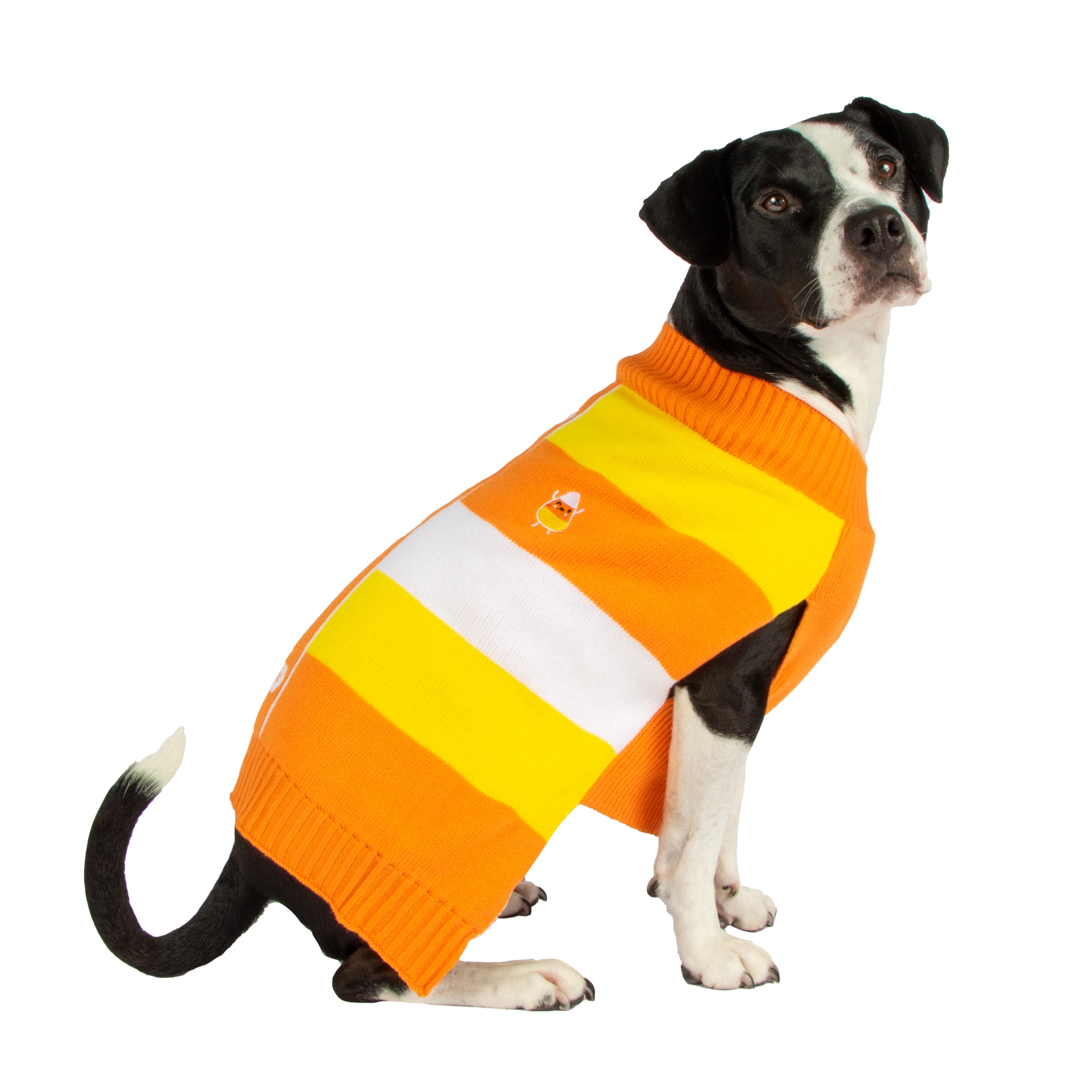 Vibrant Life Dog Clothes, Candy Corn Halloween Pet Sweater, Orange, Medium
