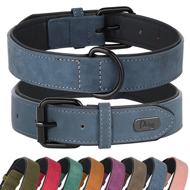 Collar para perros Didog de piel suave acolchada azul para perros grandes