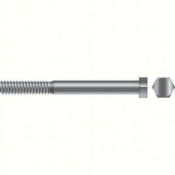 SEACHOICE Cap Screws - Hex Head Color:, Size: 1/2"-13 x 1, Option: 10/BG