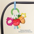 thumbnail image 6 of Itzy Ritzy Bitzy Busy Ring™ Veggie Car Seat and Stroller Activity Toy, 6 of 10