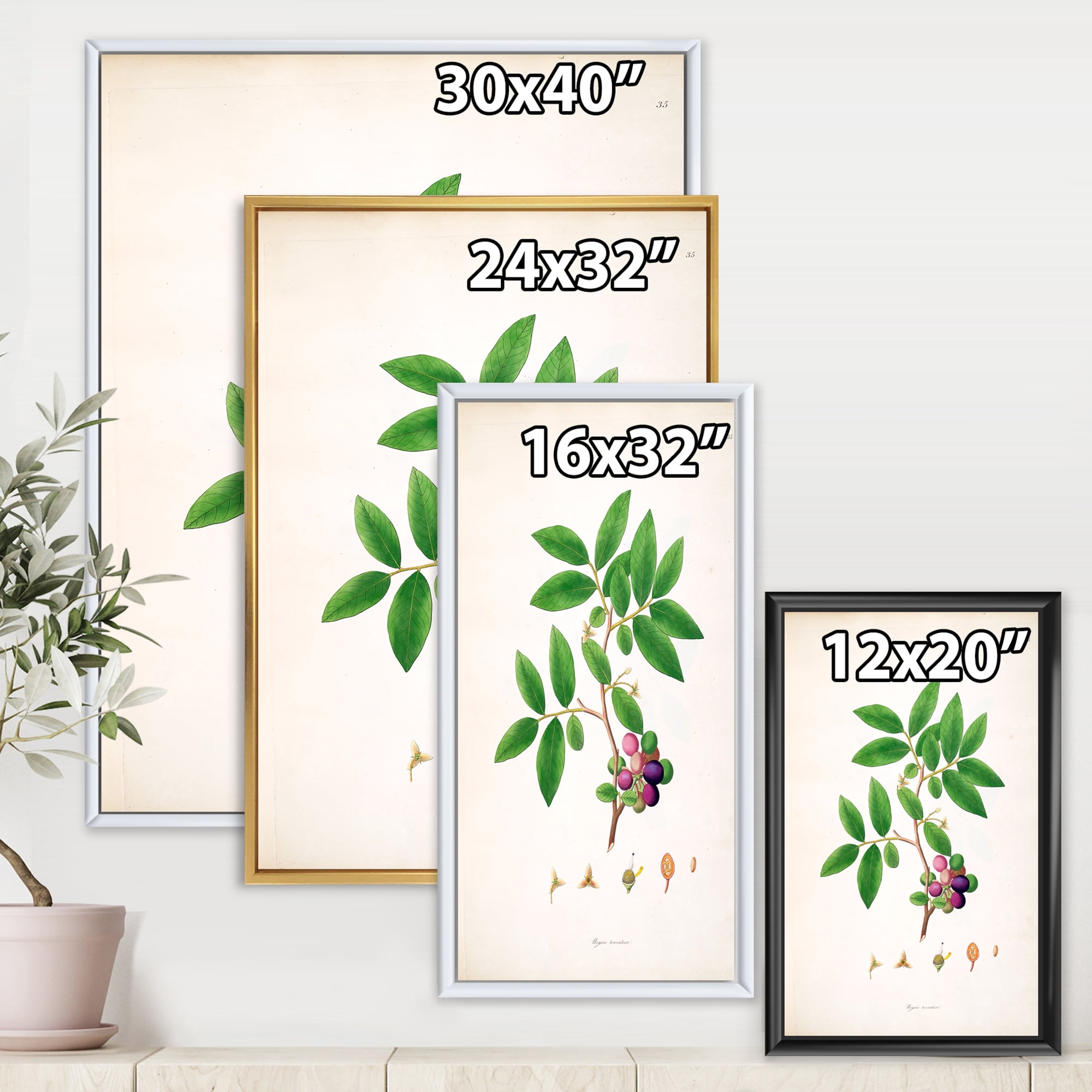 Designart 'Ancient London Plants XI' Farmhouse Framed Canvas Wall Art Print