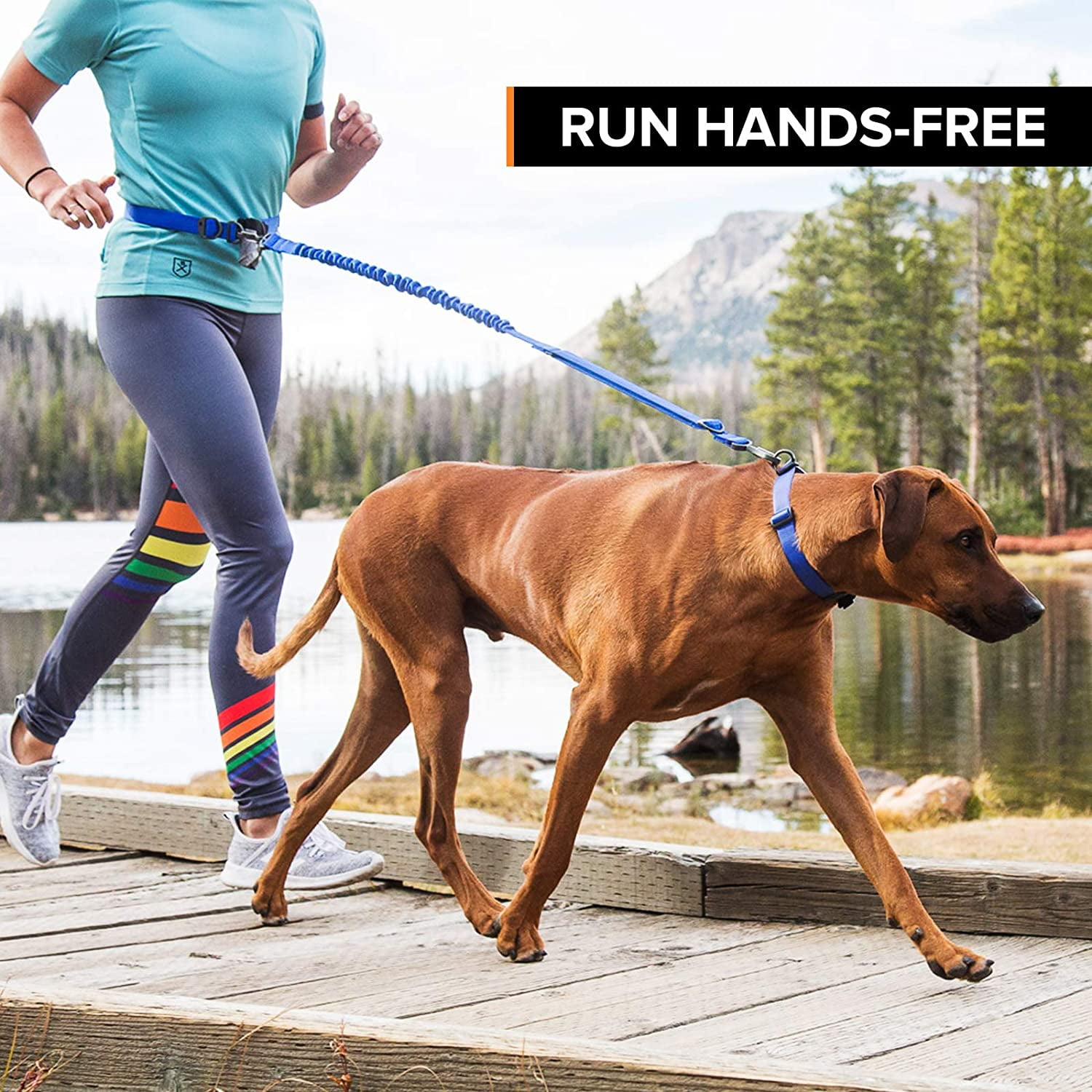 Stunt Runner Hands-Free Dog Leash, Blue