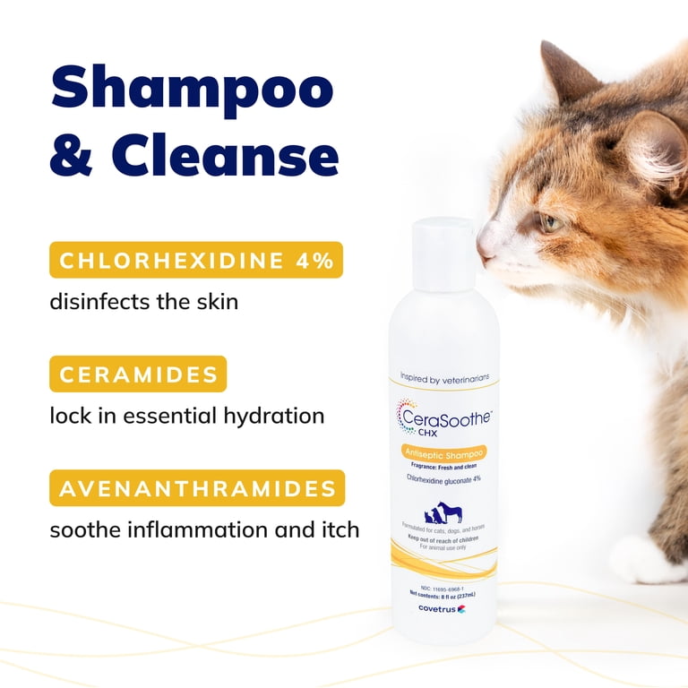 CeraSoothe¬Æ CHX Antiseptic Shampoo 16oz, Antibacterial and