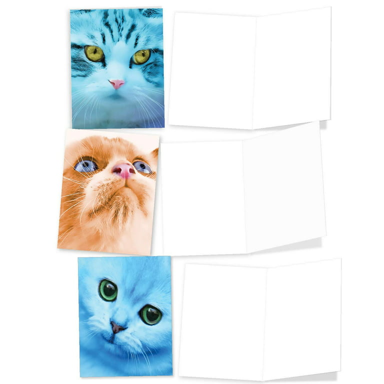 Don't be scared!! Warriors - Ravepaw  Greeting Card for Sale by Aizicle