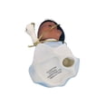 thumbnail image 6 of 2010 Princess Tiana Disney (Precious Moments) Hallmark Keepsake Christmas Tree Ornaments QXE3056, 6 of 6
