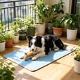 thumbnail image 4 of Almohadilla refrescante para perros y gatos con base antideslizante, tapete de hielo portátil y lavable para aliviar el calor, múltiples tamaños y usos., 4 of 6