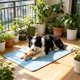 thumbnail image 4 of Almohadilla refrescante para perros y gatos con base antideslizante, tapete de hielo portátil y lavable para aliviar el calor, múltiples tamaños y usos., 4 of 6