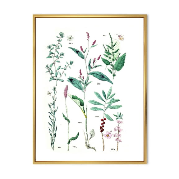 Designart 'Ancient Plants' Traditional Framed Canvas Wall Art Print
