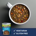 thumbnail image 3 of Progresso Vegetable Classics, Lentil With Roasted Vegetables Canned Soup, Gluten Free, 19 oz. ( Pack of 2 ), 3 of 3