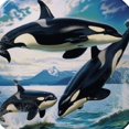 thumbnail image 6 of Orinice Orca Whales Round Table Cover Stain Resistant Washable Indoor Outdoor Tablecloth Kitchen Dining Wedding Parties Outdoor Fitted 100% Polyester Fiber 46-50, 6 of 8