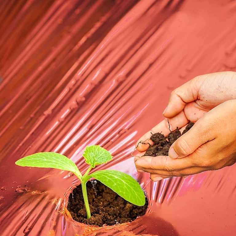 Red Planting Mulch Film 4ft X 25ft Promote Healthy Growth in Agriculture