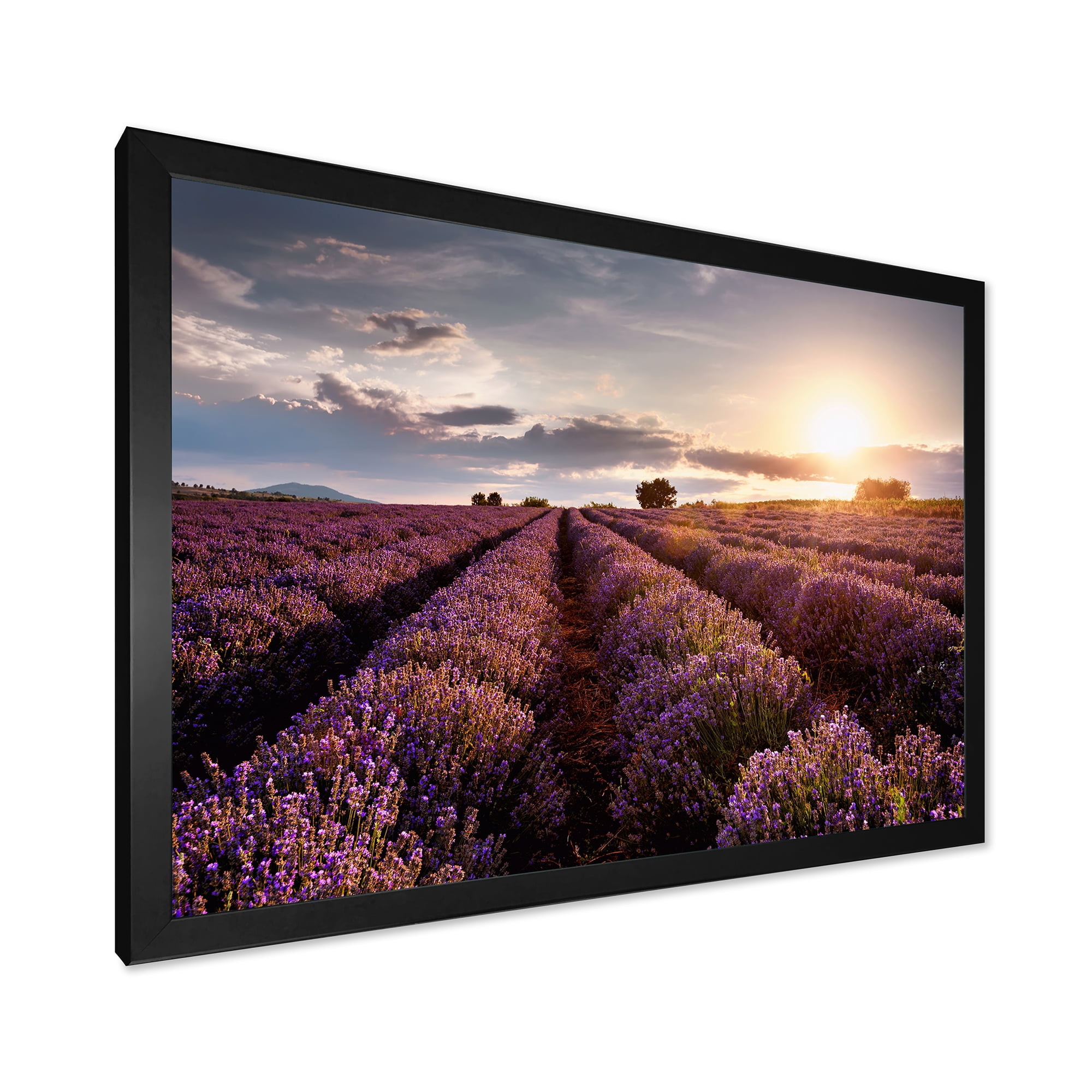 Designart 'Dramatic Clouds and Sunrise Over Lavender Field V' Farmhouse Framed Art Print