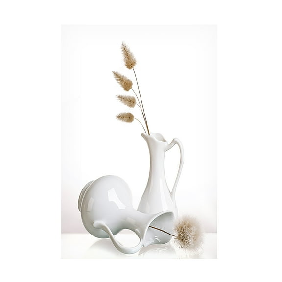 Aida Ianeva 'White' Canvas Art