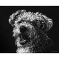 thumbnail image 3 of Chapman, Julie T. 24x20 Black Modern Framed Museum Art Print Titled - Canine Scratchboard XXV, 3 of 5