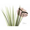 thumbnail image 2 of Koetsier, Albert 18x15 White Modern Wood Framed Museum Art Print Titled - Flamingo Plant in Color, 2 of 4
