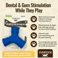 thumbnail image 3 of Natural Rubber Treat-Holder Beef Scented Dog Chew Toy, 3 of 6