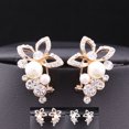 thumbnail image 1 of Guardurnaity 1 par de pendientes de uva con flor de perla y diamantes de imitación de cristal para mujer, joyería para fiesta y boda Ropa, zapatos y accesorios Miscelánea, 1 of 6