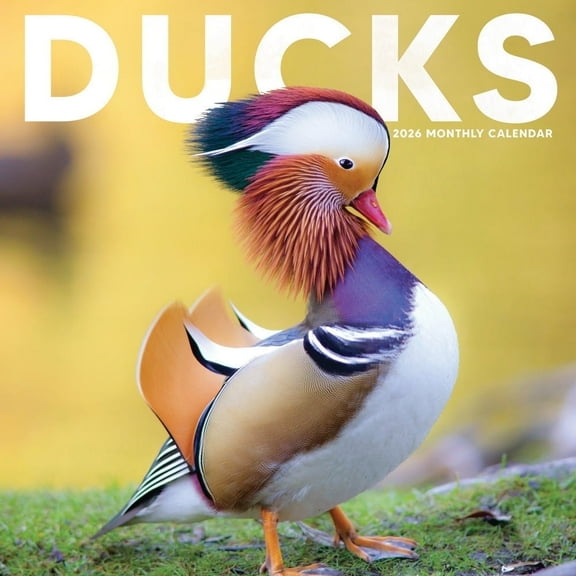 Ducks Calendar 2026 | 12" x 24" Cute Duck Calendar 16 Month | Marble City Press
