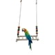 thumbnail image 5 of Percha de Columpio de Pollo, Soporte de Madera para , Juguetes de Escalera para Pájaros, Columpio para Periquitos, Cacatúas Jinwen Percha de columpio de pollo, 5 of 8