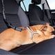 thumbnail image 5 of Negro - Correa para perros de 1 pieza, arnés de nailon elástico para coche, absorción de impactos y mosquetón para perros y gatos, 5 of 5