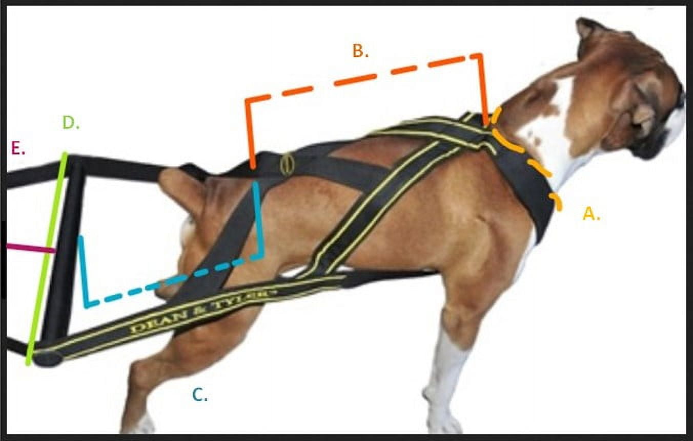 Dean & Tyler Professional Pulling Dog Harness DT Pro Pull Large