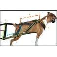 thumbnail image 3 of Dean & Tyler Professional Pulling Dog Harness DT Pro Pull Medium, 3 of 4