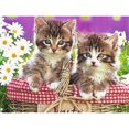 thumbnail image 1 of Cuadros Decorativos Kits de pintura de diamante cuadrado completo de gato 5D DIY arte hecho a mano en casa (ZQF359) Tmvgtek embutido en tela, 1 of 9