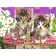thumbnail image 2 of Cuadros Decorativos Kits de pintura de diamante cuadrado completo de gato 5D DIY arte hecho a mano en casa (ZQF359) Likrtyny embutido en tela, 2 of 9