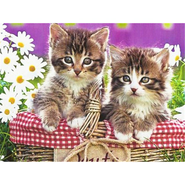 Cuadros Decorativos Kits de pintura de diamante cuadrado completo de gato 5D DIY arte hecho a mano en casa (ZQF359) Tmvgtek embutido en tela