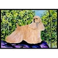 thumbnail image 1 of Carolines Treasures SS8668JMAT Tapis Intérieur Ou Extérieur 24 x 36 Po. Cocker Spaniel, 1 of 4