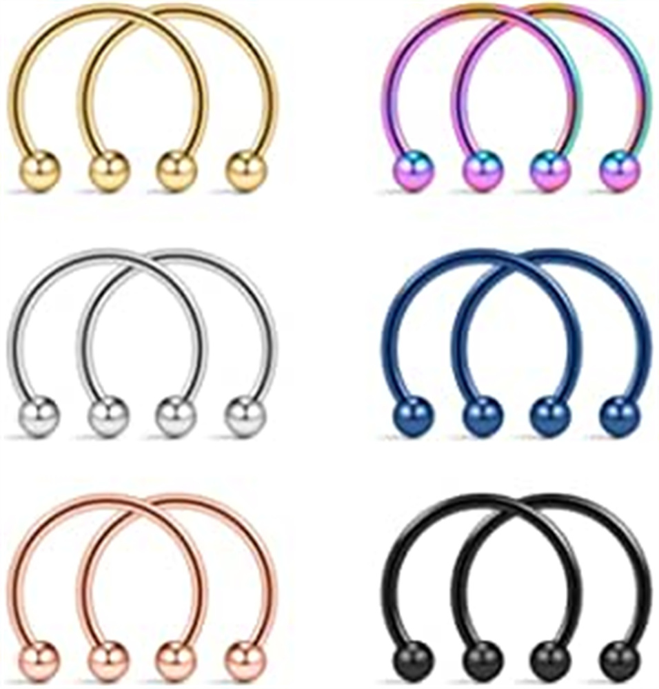 Briana Williams 16G Cerceau de Segment Articulé Double Triple Helix Boucles d'oreilles Daith Conch Rook Piercing Bijoux Argent 8mm 10mm