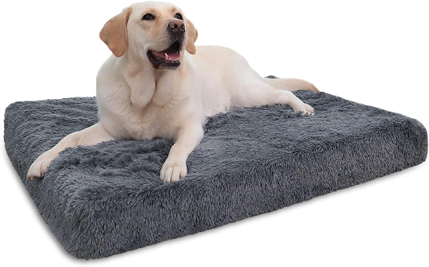 How Do You Clean A Foam Dog Bed