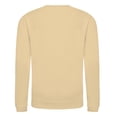 thumbnail image 2 of AWDis Just Hoods Boys/Girls Plain Crew Neck Sweatshirt, 2 of 3