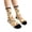 F, variant on Thanksgiving Crew Socks For Men Women Mid Calf Casual Athletic Socks With Pumpkin Floral Print Soft Everyday Socks Fall Autumn Holiday Novelty Funny Cute Gift Cozy Comfortable Breathable Cotton Blend