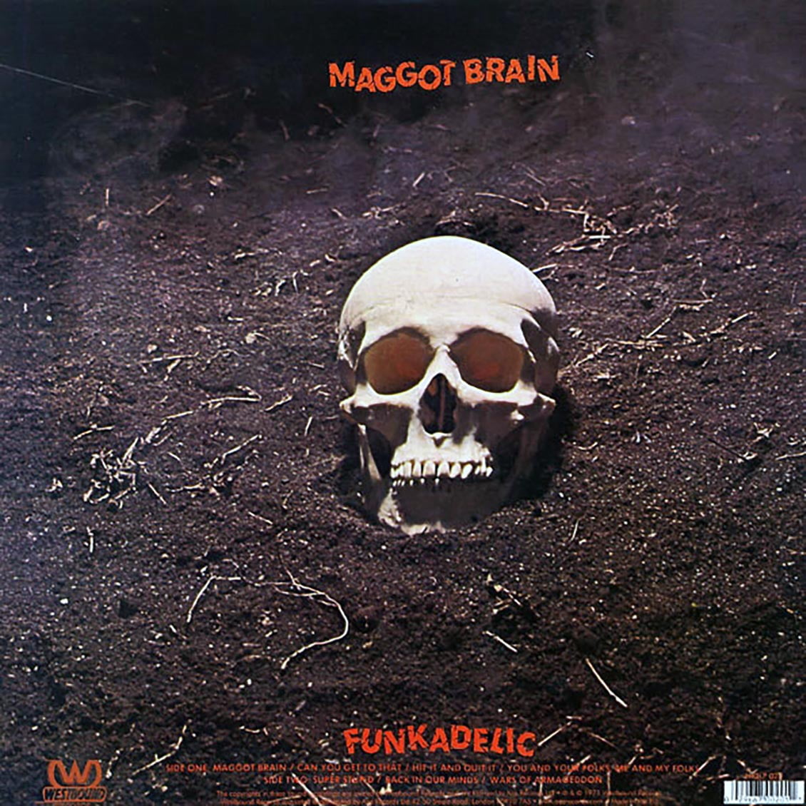 Funkadelic - Maggot Brain - Music & Performance - Vinyl - Walmart.com