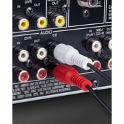 25 Feet 2 RCA Male to Male Audio Cable (2 White/2 Red Connectors)
