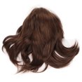 thumbnail image 3 of Peluca De Cosplay, Permeabilidad Al Aire Brillante Firme Aspecto Profesional Ciruela Pasar Hombres Peluca Sombrero Para Fiesta ANGGREK Cosplay Wig, 3 of 8
